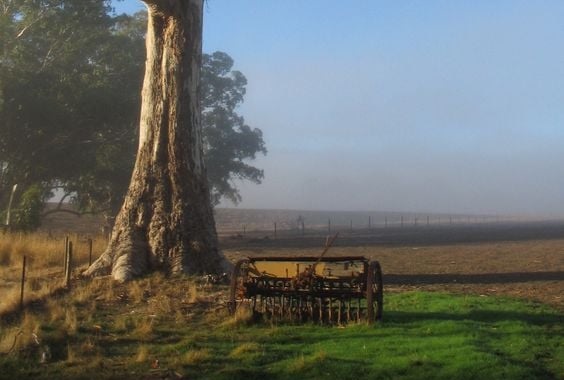 Kingsford 2022 – CAMP&nbsp;CLEMENCY